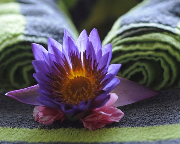 Blume und Handtuch im Ayurveda Resort