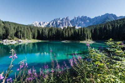 Erholen Sie sich auf den Wanderungen durch Südtirol und entdecken Sie den Latemar