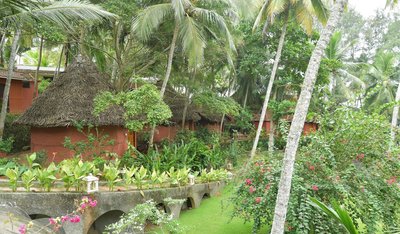 Versteckt im Grün des Gartens stehen die Cottages