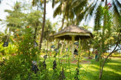 Spüren Sie die Verbundenheit mit der Natur im Sitaram Beach Retreat