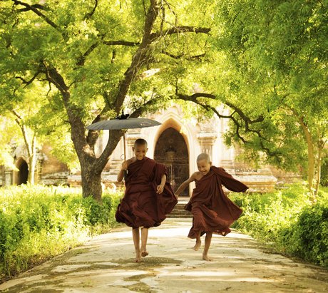 Zwei kleine Mönchskinder laufen durch einen Garten