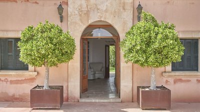 Eintreten und wohlfühlen in der Ayurvila