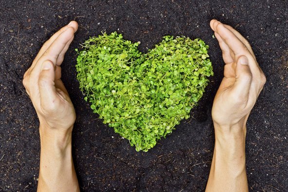 Hände umranden ein grünes Herz aus Pflanzen auf der Erde