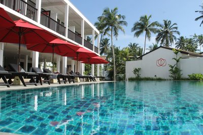 Entspannung im Pool mit Blick auf die umliegenden Palmen