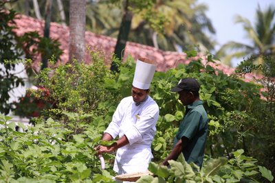 Viele Zutaten für die ayurvedischen Mahlzeiten stammen aus dem eigenem biologischem Anbau