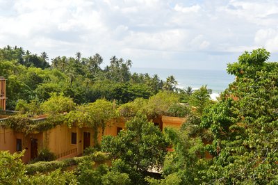 Inmitten von Palmen finden Sie das wunderschöne Barberyn Beach Resort