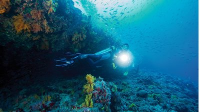 Tauchen Sie ab in die beeindruckende Unterwasserwelt des indischen Ozeans