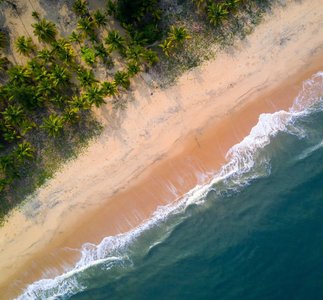 Genießen Sie die Nähe zum Meer im Marari Beach Resort