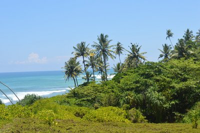 Genießen Sie den wunderschönen Ausblick auf das Meer