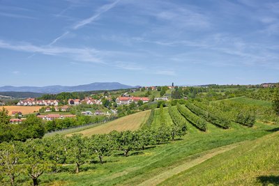 Panoramablick auf das Ayurveda Resort Mandira