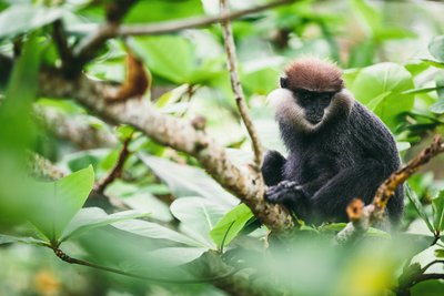 Bei Ausflügen die heimische Tierwelt kennenlernen