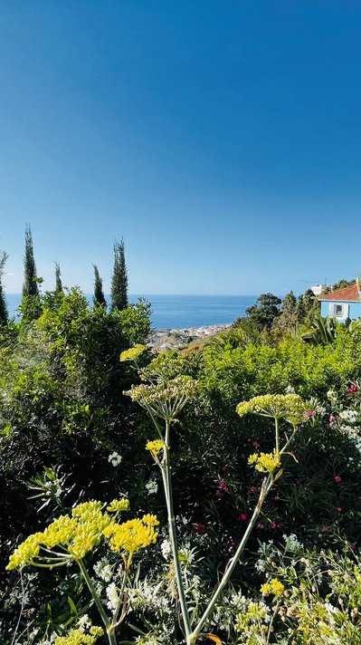 Von der Casita Ayurveda können Sie bis auf den Atlantik schauen