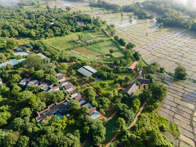 Die Anlage des Ayurvie Sigiriya neben weitläufigen Reisfeldern