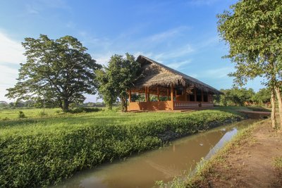 Entspannen Sie bei Yoga inmitten der Natur des Ayurvie Sigiriya