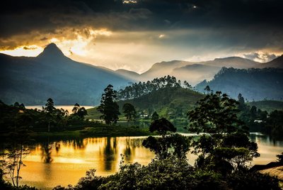 Einmalige Sonnenaufgänge über den Teeplantagen von Sri Lanka