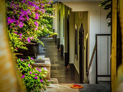 Wohlfühlatmosphäre pur im Zen Resort durch das viele Grün in der Anlage