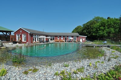 Stellshagen