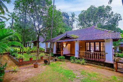 Die Bungalows liegen mitten im Grünen