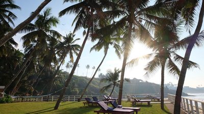 Der Garten direkt am Meer lädt zur Entspannung ein Der Garten direkt am Meer lädt zur Entspannung ein