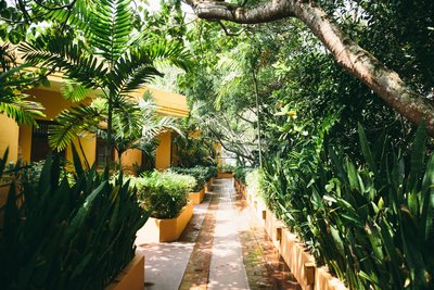 Entdecken Sie die ruhige Eleganz des Resorts