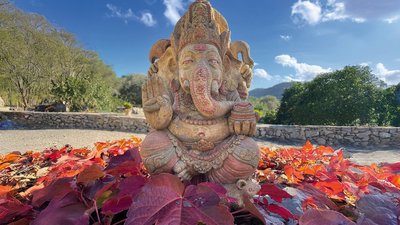 Der Ganesha thront im Garten der Finca Son Mola Vell Der Ganesha thront im Garten der Finca Son Mola Vell