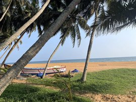 Das Resort besticht durch seine direkte Strandlage