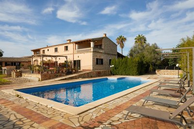 Am Pool unter Palmen entspannen