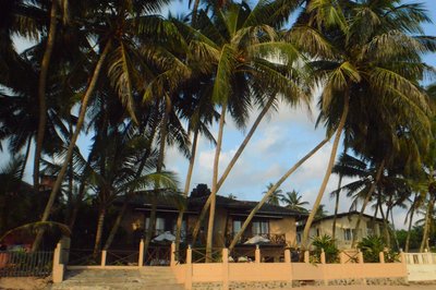 Oase in der Palmenlandschaft Sri Lankas, direkt am Meer - die Safira Beach Residence