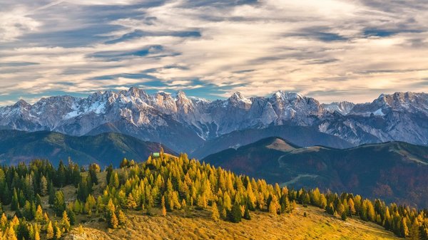 Ein herbstliches Waldstück in den Alpen bei tiefhängenden Wolken