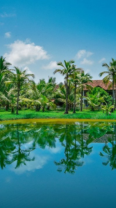 Das Meiveda Ayurveda Resort liegt eingebettet in einem tropischen Garten