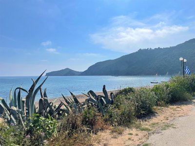 Auf dem Weg zum Strand bei strahlemden Sonnenschein