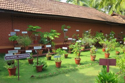 Das Nattika Beach Resort hat seinen eigenen Kräutergarten, aus dem die Kräuter für Behandlungen und das ayurvedische Essen stammen