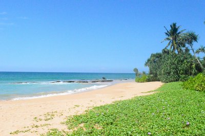 Der paradiesische Sandstrand am ANANDA Ayurveda Resort