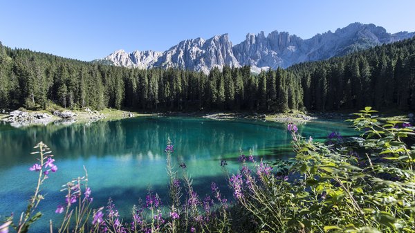 Großer See mit Blumen und Bergen im Hintergrund