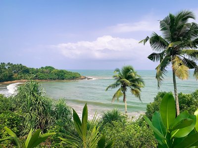 Vor Ihnen erstreckt sich ein traumhafter Ausblick auf die palmengesäumte Küste Sri Lankas