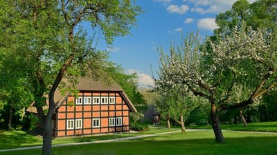 Im Frühling erblüht der Park am See