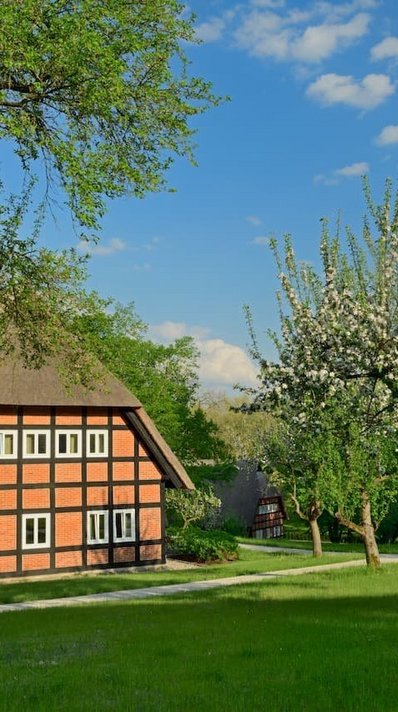 Im Frühling erblüht der Park am See