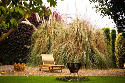 Die Liegewiese im Casita Ayurveda