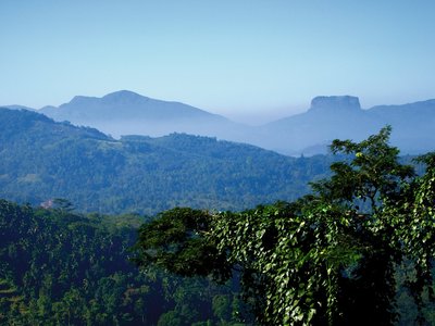 Aussicht über die Natur