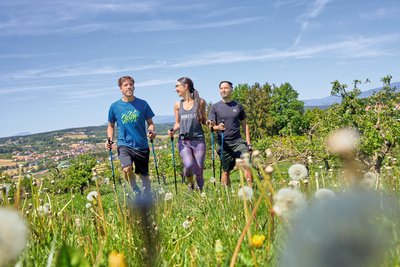Trainieren Sie Kondition und Herz-Kreislauf beim Nordic Walking