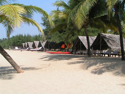 Umringt von Palmen lädt der lange Sandstrand zum Träumen ein