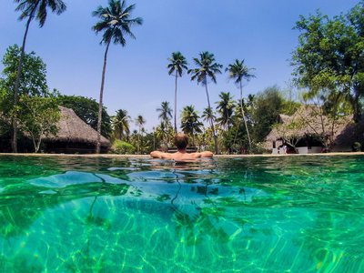 Kühlen Sie sich im Pool inmitten der Natur ab