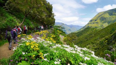 Erforschen Sie die grüne Vielseitigkeit der Landschaft zu Fuß