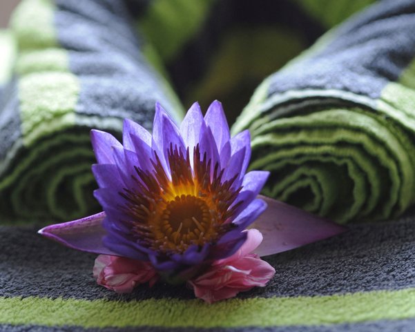 Blume und Handtuch im Ayurveda Resort