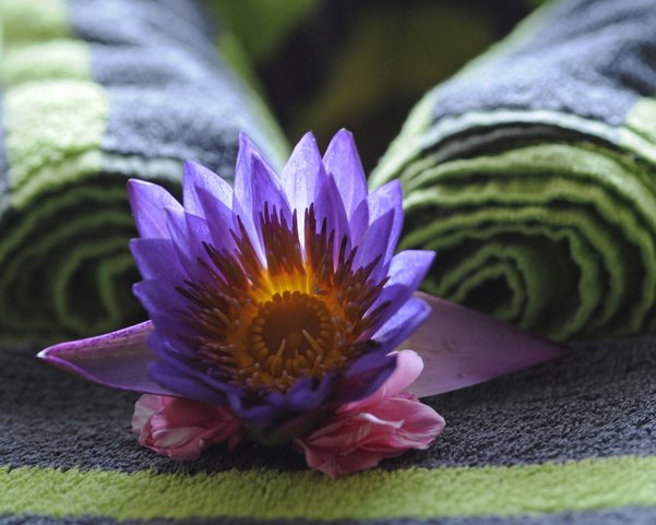 Blume und Handtuch im Ayurveda Resort