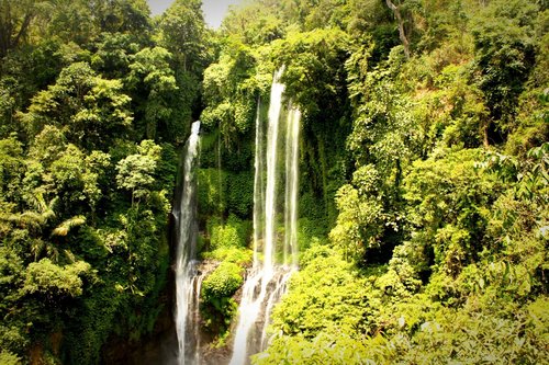 Entdecken Sie auf Ausflügen die Naturschätze Balis
