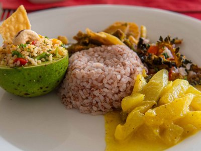 Doshagerechte Mahlzeiten bringen Ihren Energiehaushalt wieder ins Gleichgewicht.