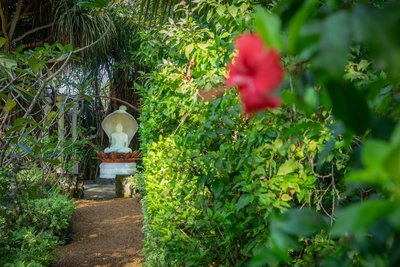 Durch den liebevoll angelegten Garten schlendern