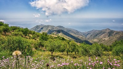 Die Landschaft in Andalusien gekennzeichnet durch Berge und Blumenwiesen