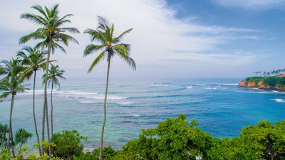 Hinter grünem Jungle erstreckt sich der weite, blaue Ozean - Aussicht aus Ihrem Zimmer im Ayurvie